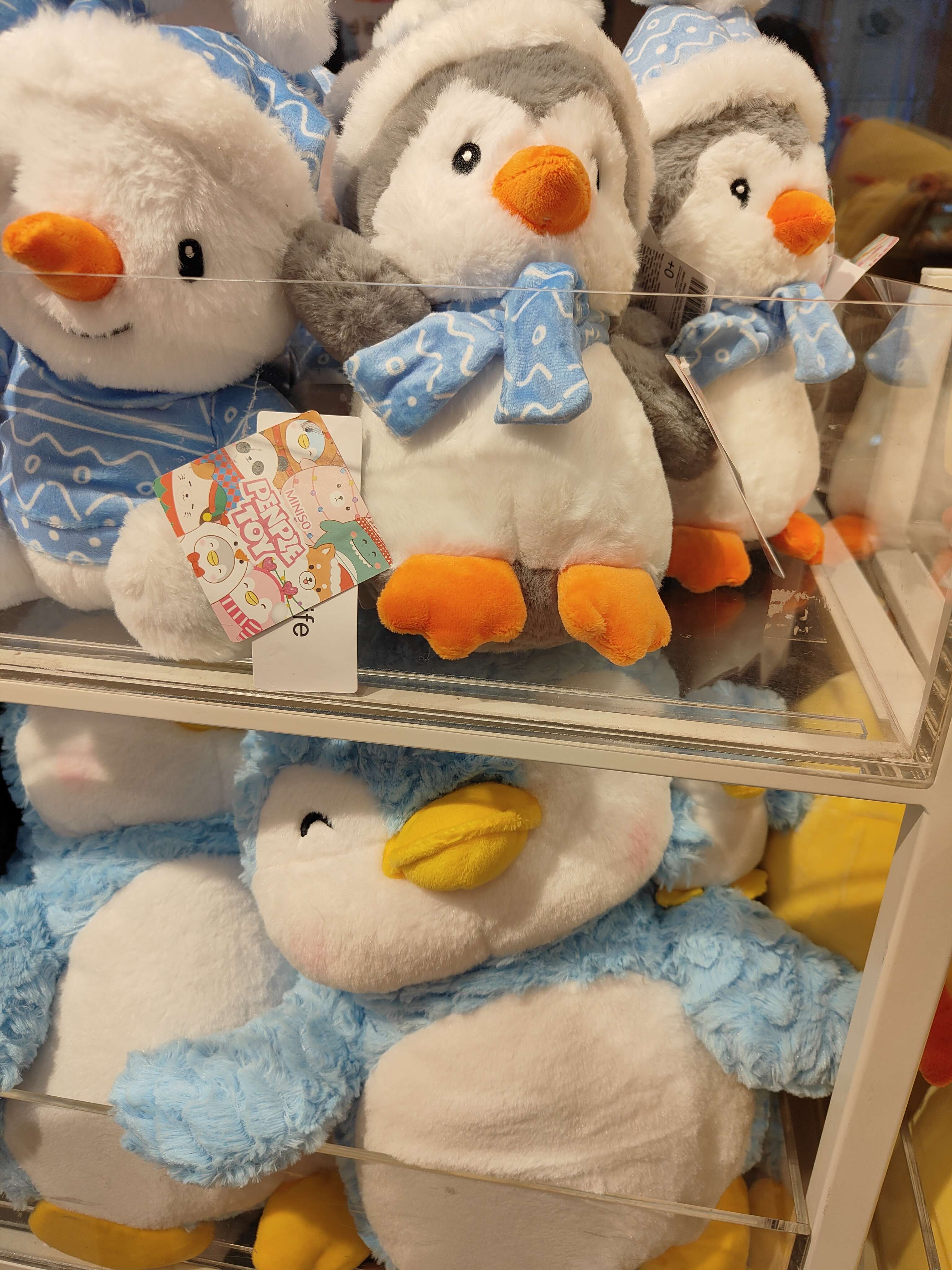 Penguin plushies in Westgate